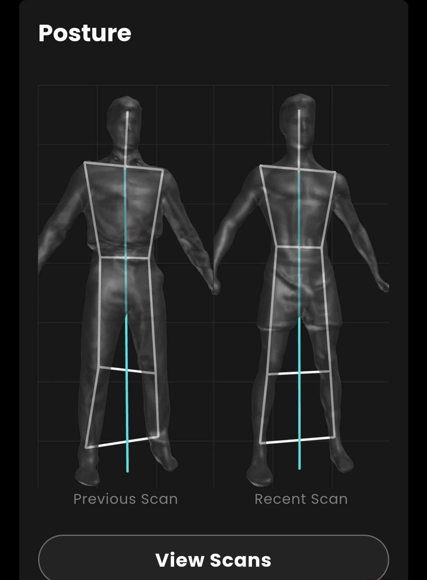 Styku 3D scan: body shape rating